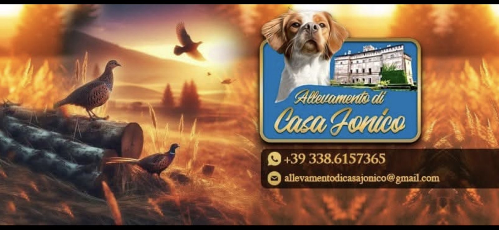 foto di copertina