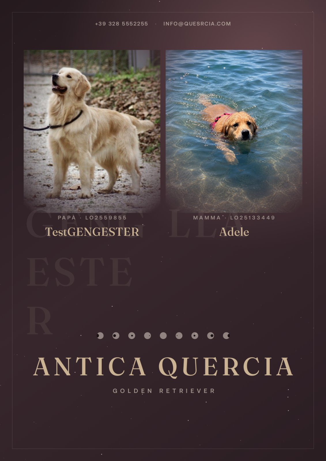 copertina
